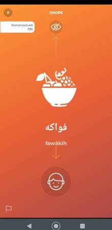 Drops: Learn Arabic
