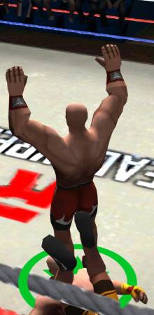 Real Wrestling 3D