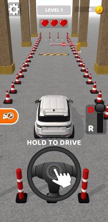 Real Drive 3D