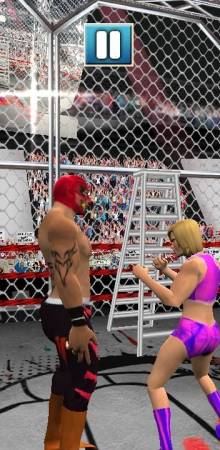 Wresting Cage Championship