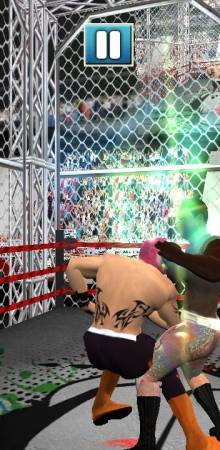 Wresting Cage Championship