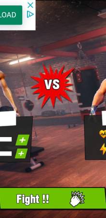 Virtual Gym Fighting