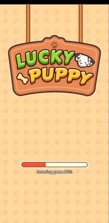 Lucky Puppy