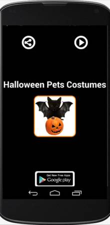 Disfraces Halloween Mascotas