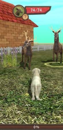 Dog Sim Online