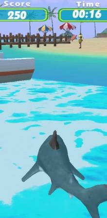 Shark Shark Run