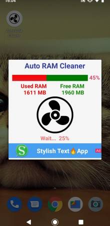 Auto RAM Cleaner