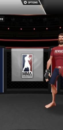 MMA Federation Fighting Game