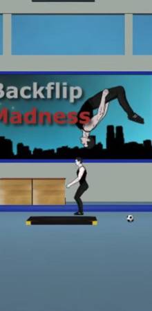 Backflip Madness