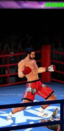 Ninja Punch Boxing Warrior